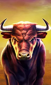 Black Bull